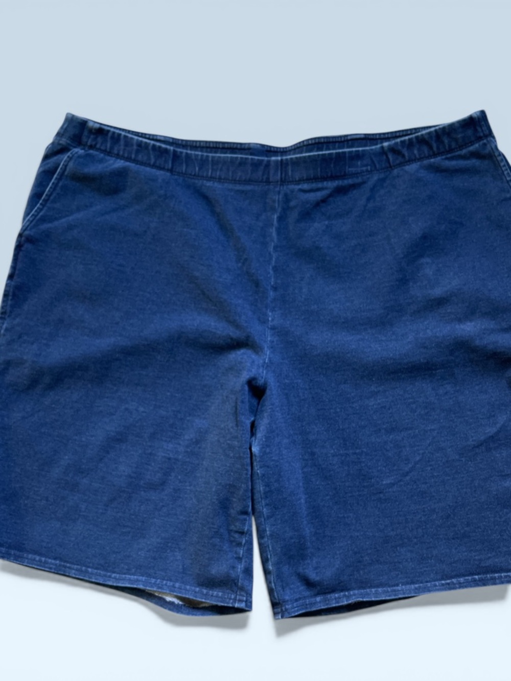 J. Jill Indigo Denim Women’s Shorts
